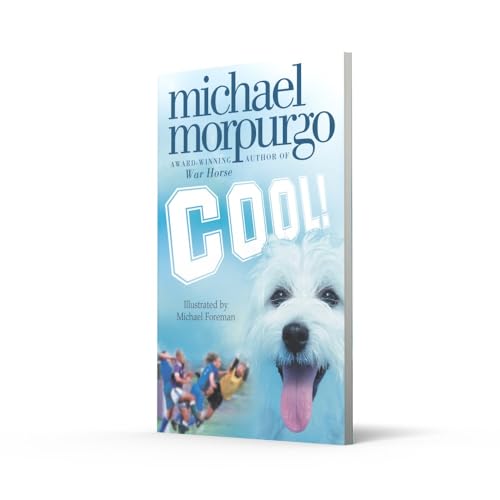 Cool! - Retail Maharaj