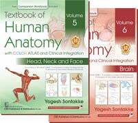 Textbook Of Human Anatomy With Color Atlas And Clinical Integration 2 Vol Set (Vol 5- Head Neck And Face And Vol 6-Brain) With Companion Workbook (Pb 2024)