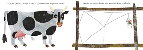 La araña muy ocupada - Retail Maharaj