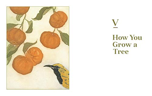 Fruit Trees for Every Garden: An Organic Approach to Growing Apples, Pears, Peaches, Plums, Citrus, and More