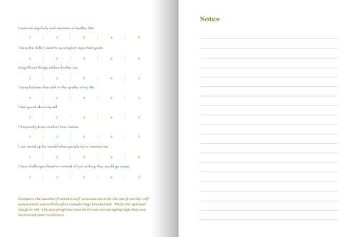 The Resilience Journal: 365 Days to Balance and Peace of Mind