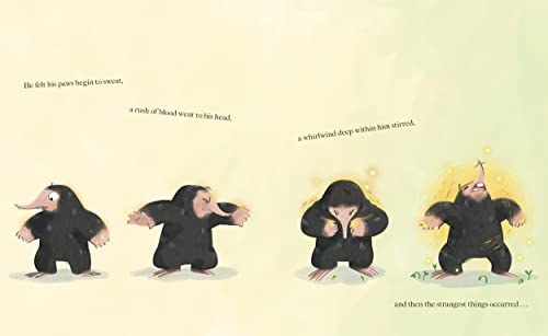 Wild Wild Wood - Retail Maharaj