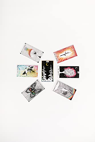 The Wild Unknown Pocket Tarot - Retail Maharaj