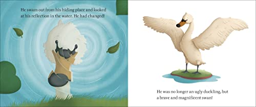 The Ugly Duckling - Retail Maharaj