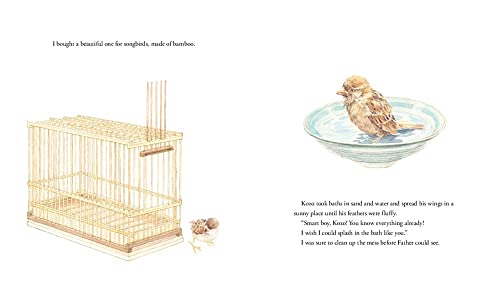 Kozo the Sparrow - Retail Maharaj