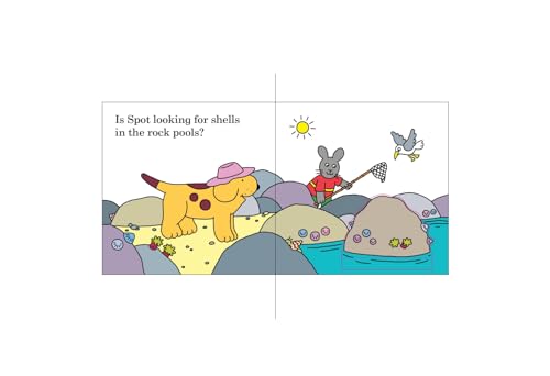 Find Spot at the Beach: A Lift-the-Flap Story - Retail Maharaj