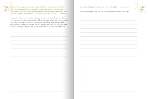 The Resilience Journal: 365 Days to Balance and Peace of Mind