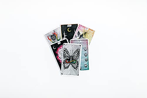 The Wild Unknown Pocket Tarot - Retail Maharaj