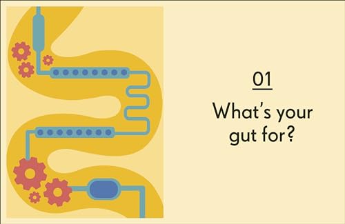 Gut: An Owner's Guide - Retail Maharaj