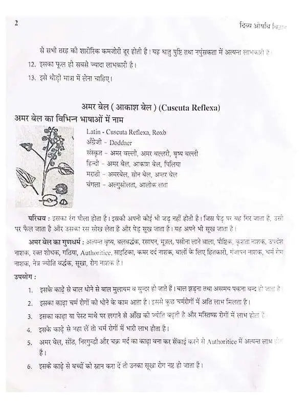 दिव्य औषधि विज्ञान Divya Aushdhi Vigyan - Retail Maharaj