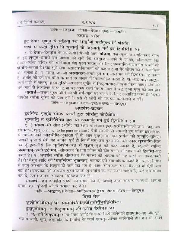 अथर्ववेदभाष्यम्  Atharvavedbhashyam (set of 3 Vol.) - Retail Maharaj