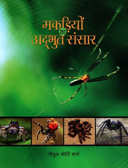 MAKDIYO KA ADBHUT SANSAR - Retail Maharaj