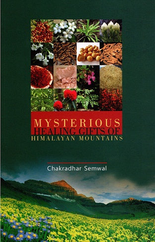 MYSTERIOUS HEALING GIFTS OF HIMALAYA MOUNTAINS - Retail Maharaj