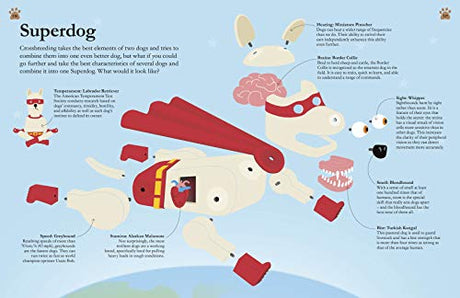 How Dogs Work: A Head-to-Tail Guide to Your Canine (DK Practical Pet Guides) - Retail Maharaj