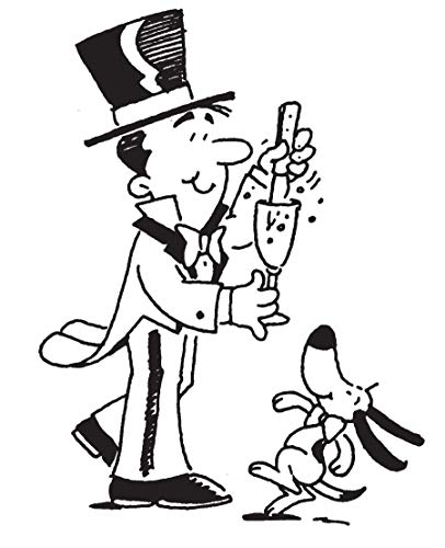 What Einstein Didn't Know: Scientific Answers to Everyday Questions - Retail Maharaj