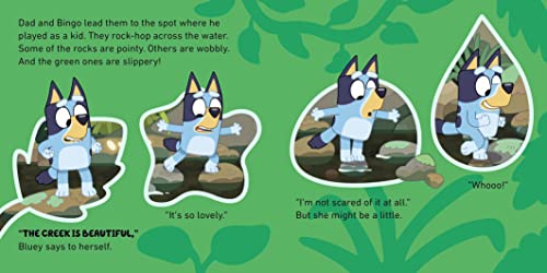 Bluey: The Creek - Retail Maharaj