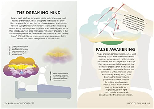 Simply The Brain (DK Simply) - Retail Maharaj