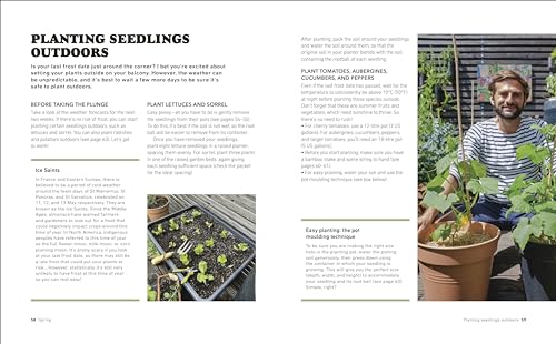 Tomatoes and Basil on the 5th Floor (The Frenchie Gardener): All You Need for a Bountiful Balcony Harvest - Retail Maharaj