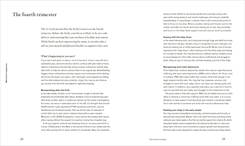 Deliciously Healthy Pregnancy: Nutrition and Recipes for Optimal Health from Conception to Parenthood - Retail Maharaj