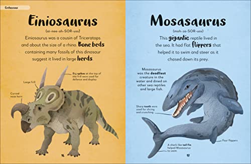 Bedtime Books: A Lovable Introduction to Animals and Dinosaurs - Retail Maharaj