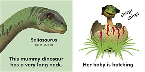 Baby Touch and Feel Baby Dinosaur - Retail Maharaj