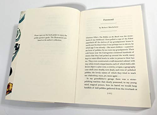 The Pebbles on the Beach