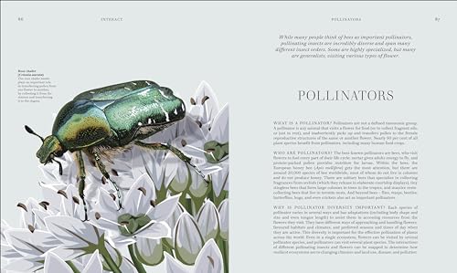 RES Insects: Discover the Science and Secrets Behind the World of Insects - Retail Maharaj