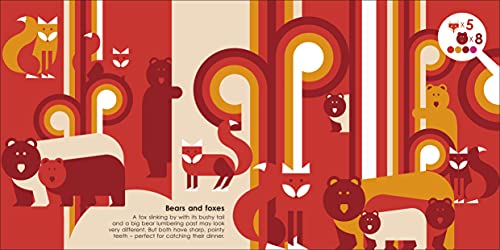 Hidden Animals: An Illustrated Guide to Evolution - Retail Maharaj