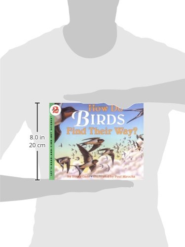 How Do Birds Find Their Way? - Retail Maharaj