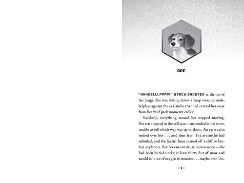 Wild Rescuers: Expedition on the Tundra: 3 (Wild Rescuers, 3) - Retail Maharaj