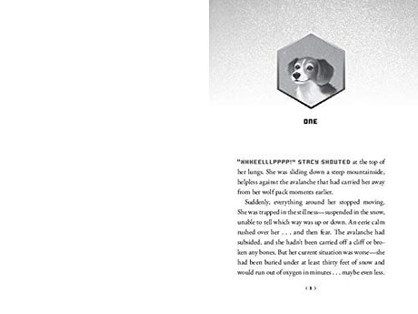 Wild Rescuers: Expedition on the Tundra: 3 (Wild Rescuers, 3) - Retail Maharaj