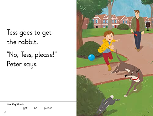 Key Words LVL : 3b : We Can Fix It! (Key Words with Peter and Jane) - Retail Maharaj