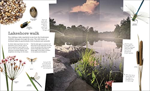 Chris Packham's Nature Handbook: Explore the Wonders of the Natural World - Retail Maharaj