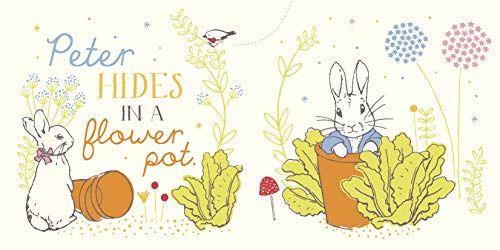 Peter Rabbit: Hello Peter! (Peter Rabbit Baby Books) - Retail Maharaj