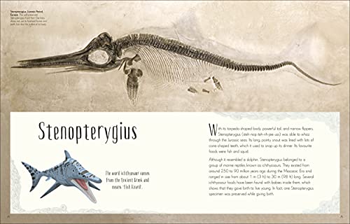 Dinosaurs and Other Prehistoric Life (DK Children's Anthologies) - Retail Maharaj