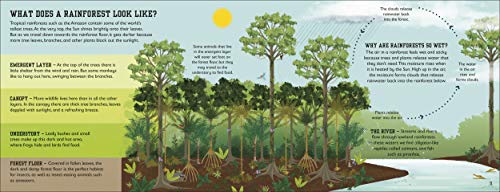 The Rainforest Book (Conservation for Kids) - Retail Maharaj