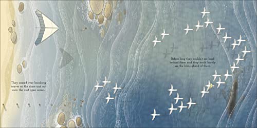 Adventures with Finn and Skip: Bird - Retail Maharaj