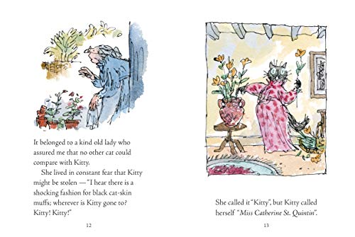 The Tale of Kitty In Boots - Retail Maharaj