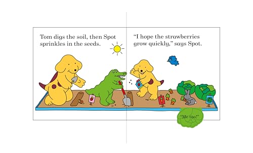 Find Spot in the Garden: A lift-the-flap book