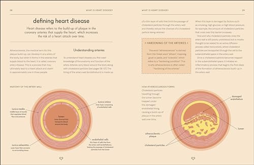 Heart: An Owner's Guide: The Irish Times Number 1 Bestseller - Retail Maharaj