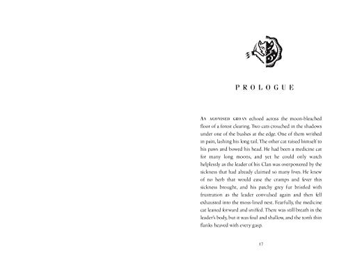 Rising Storm: FOUR CLANS. ONE DESTINY.: Book 4 (Warrior Cats) - Retail Maharaj