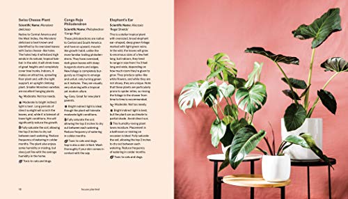 House Planted: Choosing, Growing, and Styling the Perfect Plants for Your Space