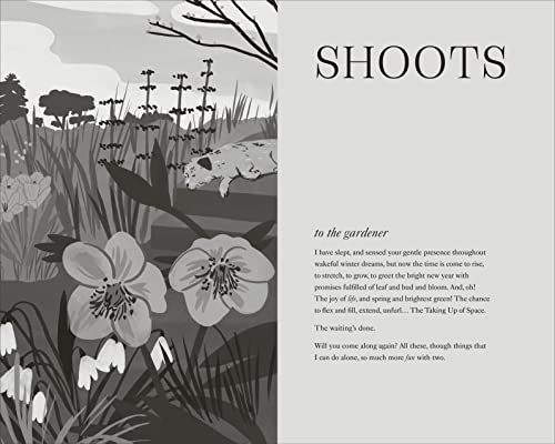 To Stand And Stare: How to Garden While Doing Next to Nothing - Retail Maharaj