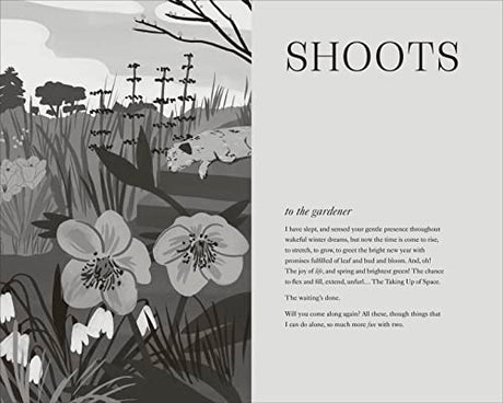 To Stand And Stare: How to Garden While Doing Next to Nothing - Retail Maharaj