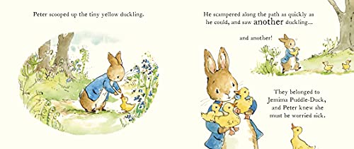 Peter Rabbit Tales - A Spring Surprise: An Easter picture board book for toddlers (Peter Rabbit Baby Books) - Retail Maharaj