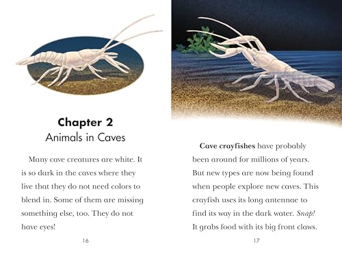 Black Out!: Animals That Live in the Dark: Animals That Live in the Dark (Penguin Young Readers, Level 3)