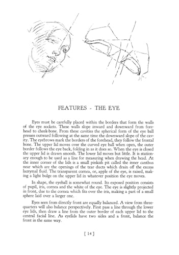 Heads, Features and Faces