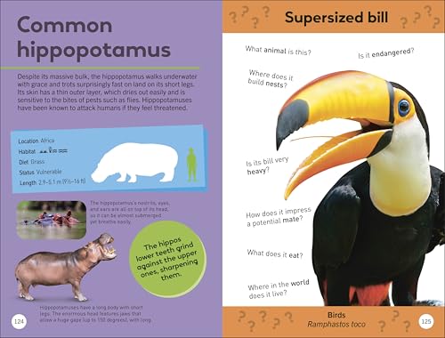 Quiz Yourself Clever! Animals of the World (DK Quiz Yourself Clever) - Retail Maharaj