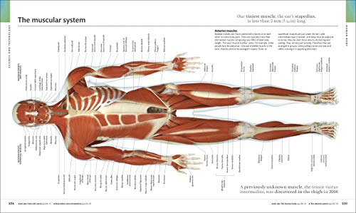 The Visual Encyclopedia - Retail Maharaj