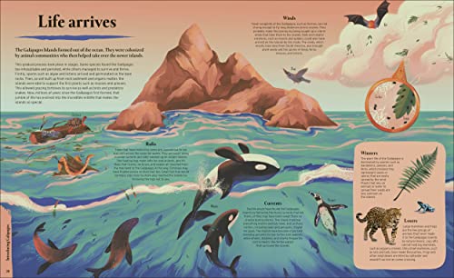 Galapagos - Retail Maharaj